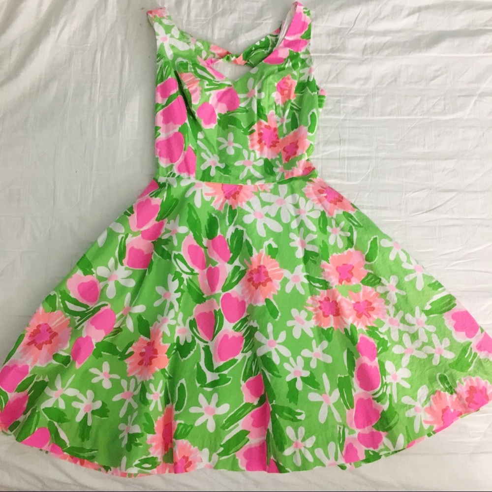 Lilly Pulitzer Dress - Picture 1 of 2